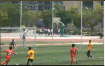 二中进球.gif