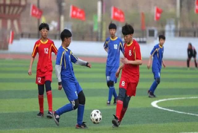 教育部办公厅关于公布2019年普通高校 高水平运动队技术调整结果的通知
