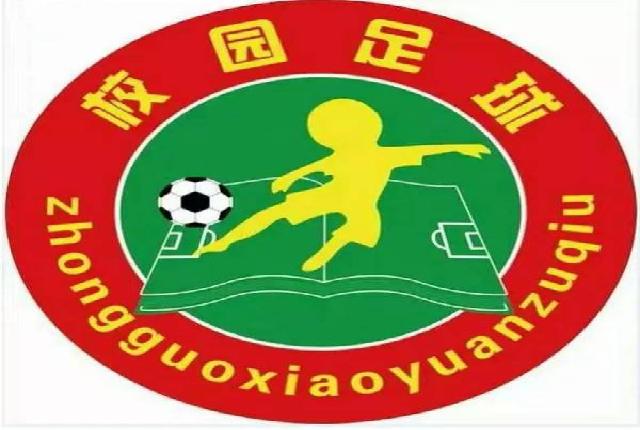 2019年全国青少年校园足球夏令营（第八营区）厦门市人员入选名单