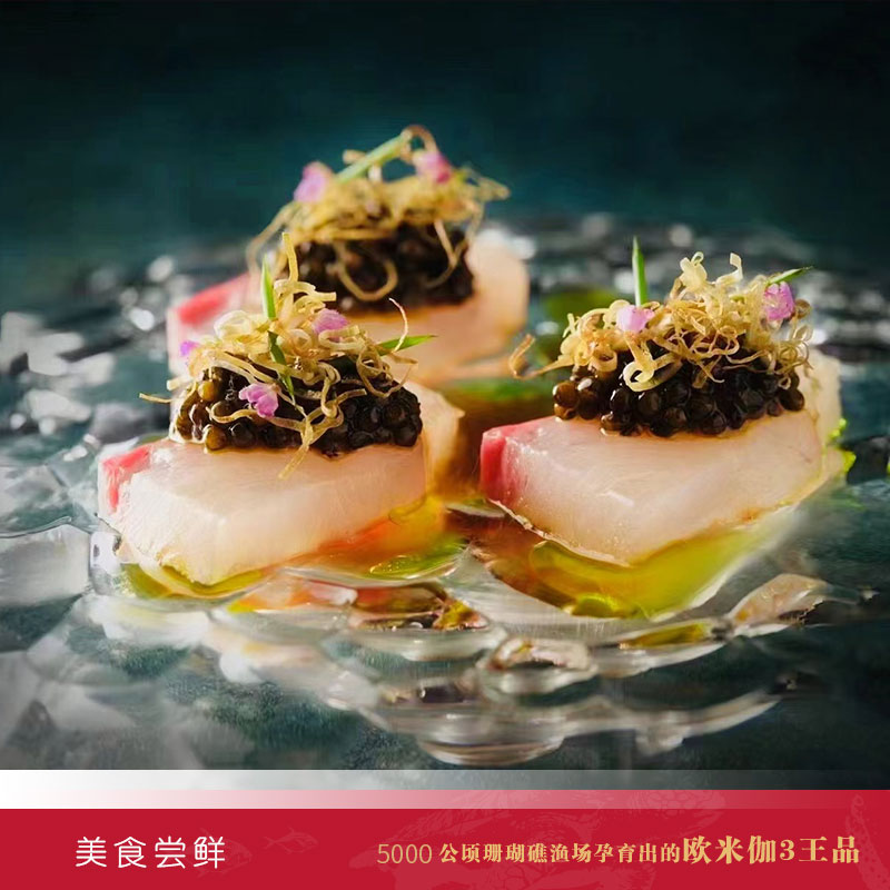 岛鲹尝鲜装